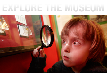 Explore The Dinosaur Museum