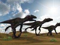 <p>Tyrannosaurus rex looked the most ferocious of all the dinosaurs, but in terms of overall cunning, determination and its array of vicious weapons it was Utahraptor that was probably the fiercest of all. Utahraptor measured about 7 metres, and was a very powerful, agile and intelligent predator.</p>