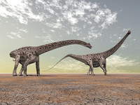 <p>The longest dinosaur was Argentinosaurus, which measured over 40 metres, as long as four fire engines. It was part of the titanosaur group of dinosaurs. Its remains have been found in Argentina, South America.</p>