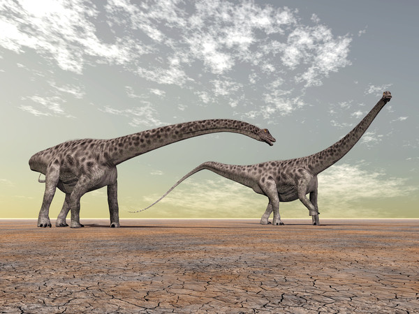 Run for 17 million years and other interesting facts about Chrome's Dino Run game