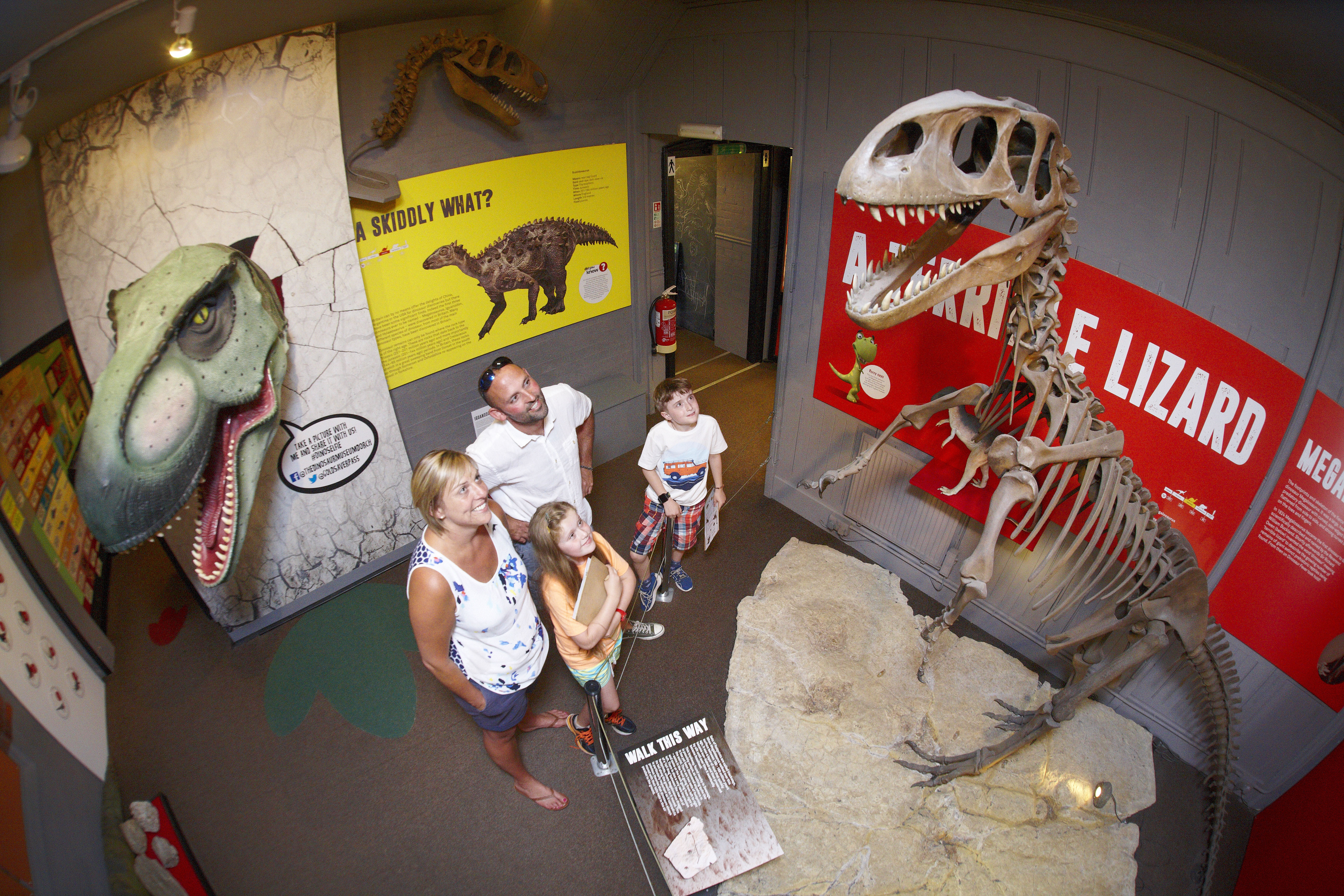 dinosaur exhibition australian museum