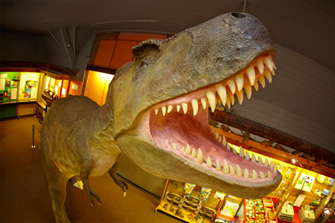 Admissions - Dinosaur Museum