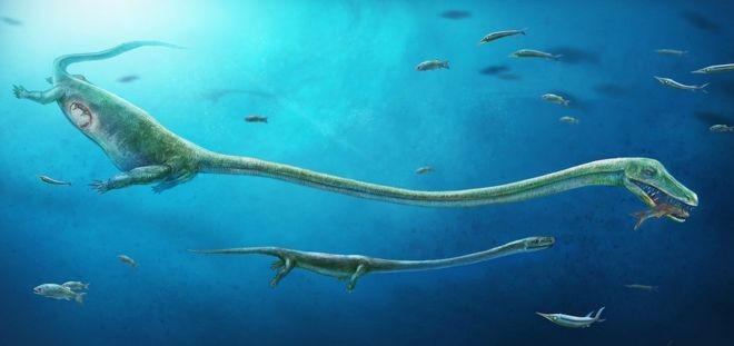 Scientists Discover First Live Birth Evidence In Dinosaur Relative