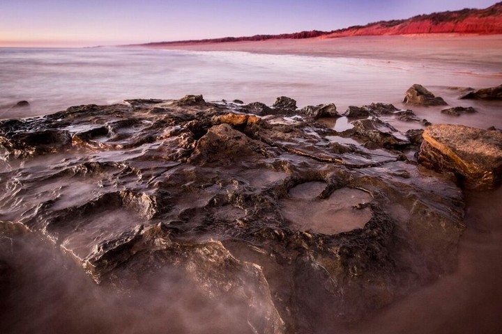 Largest Dinosaur Footprints in the World Discovered in Western Australia