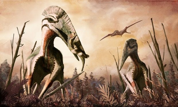 Giant Winged Predators could of Eaten Dinosaurs