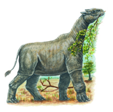 Dinosaurs and Mammals Near Extinction